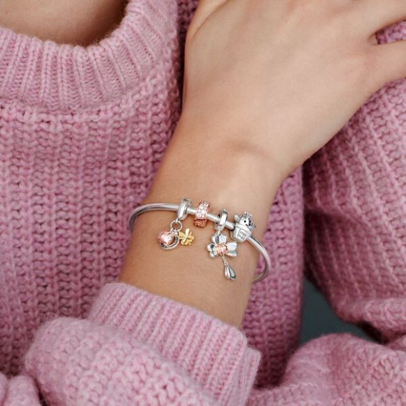 Pandora Jewellery South Africa Horseshoe Clover Ladybird Dangle Charm Tri-Tone