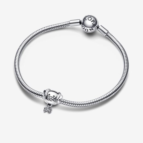 Pet Dog Bone Charm Pandora Jewellery South Africa